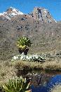 Pohled na Mt. Keňu (5.199 m n.m.)